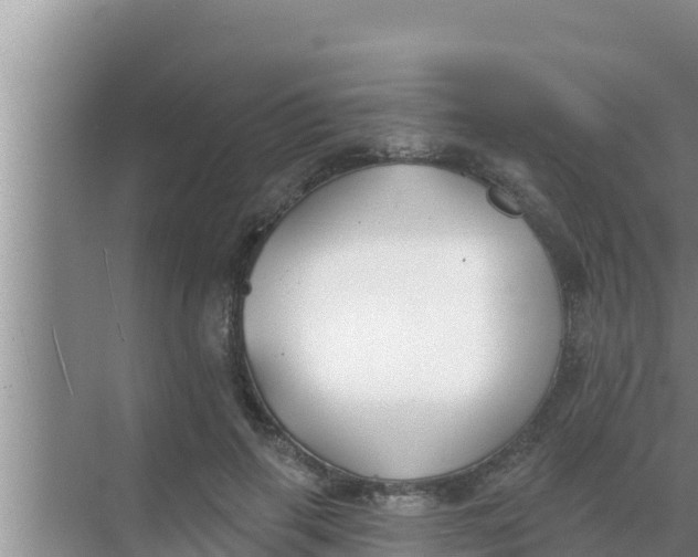 X0000069380645200605262051