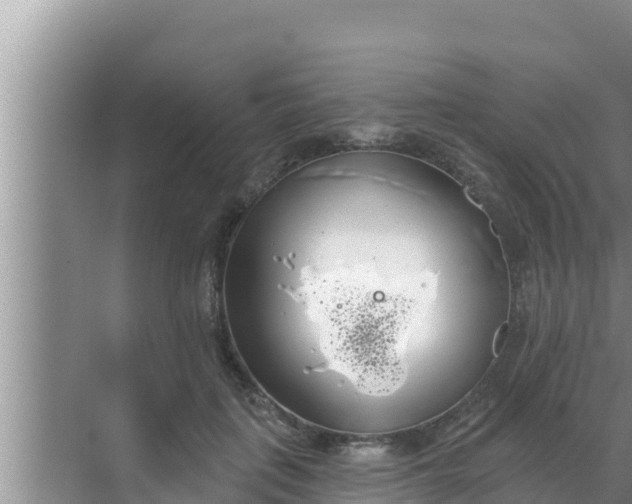 X0000069380651200605262051