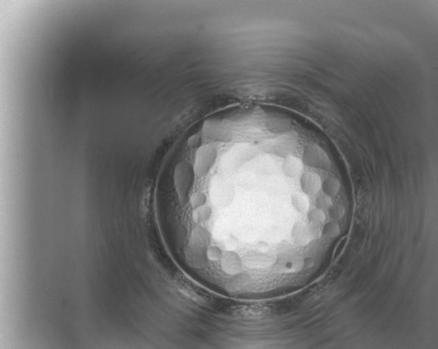 X0000069380652200605262052