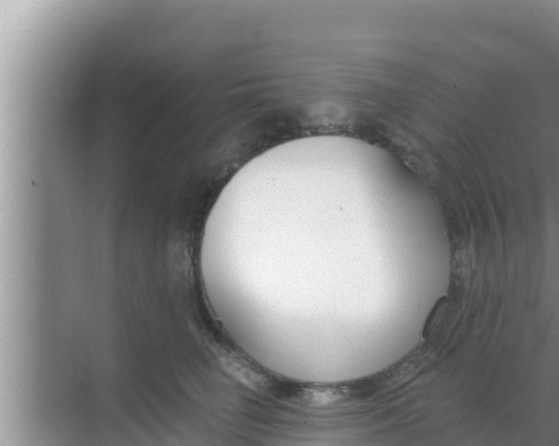 X0000069380662200605262052