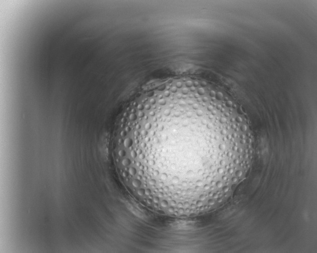 X0000069380664200605262052