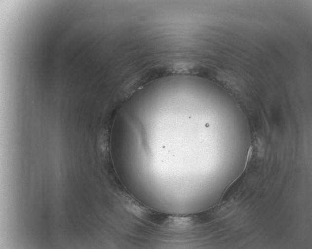 X0000069380665200605262052