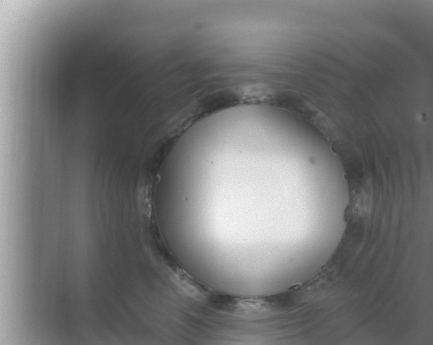 X0000069380666200605262052