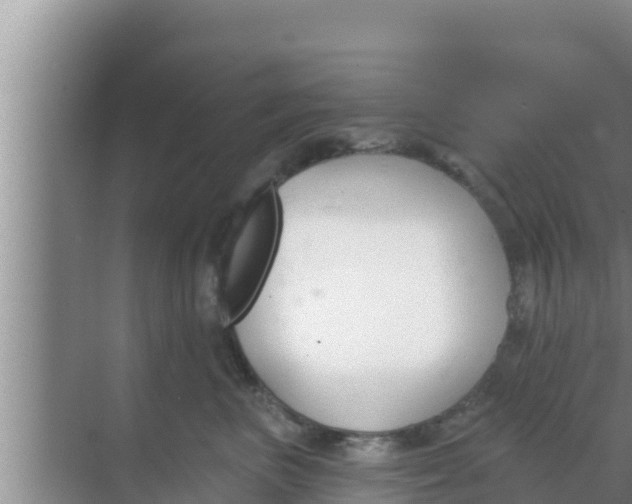 X0000069380667200605262052