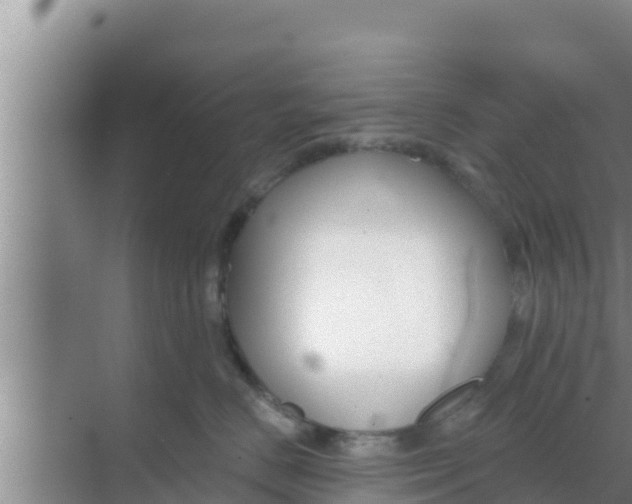 X0000069380670200605262052