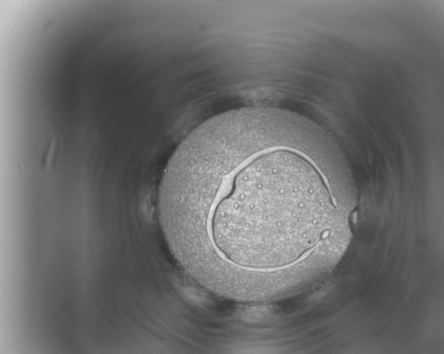 X0000069380671200605262052