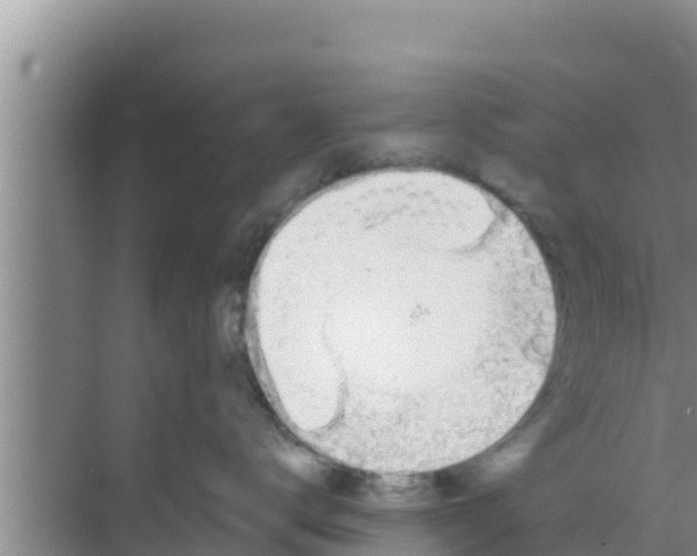 X0000069380672200605262052