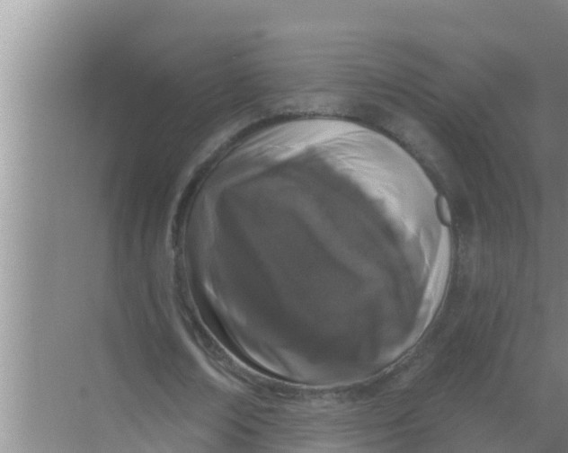 X0000069380674200605262051