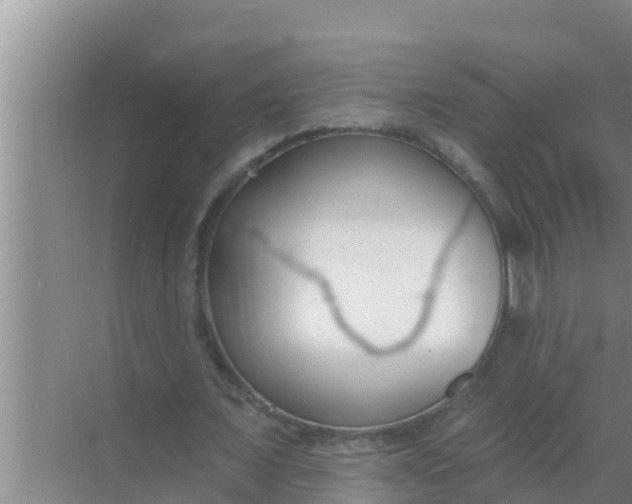 X0000069380675200605262051