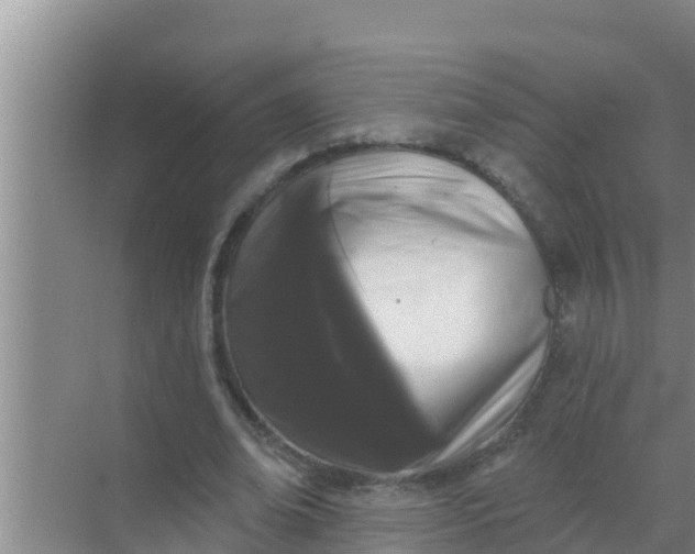 X0000069380678200605262051