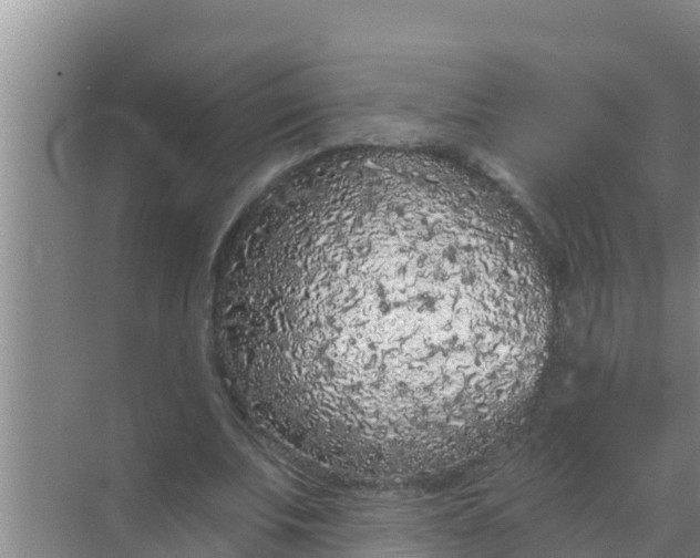 X0000069380679200605262051