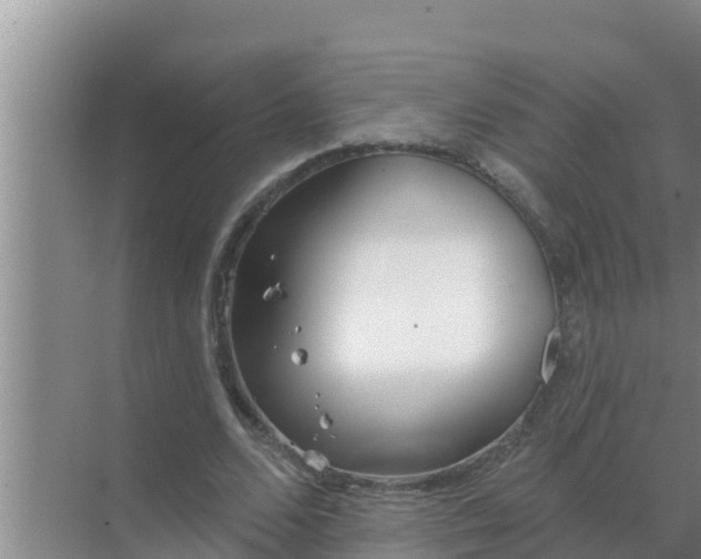 X0000069380680200605262051