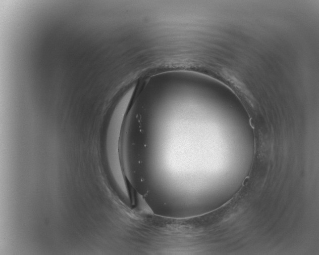 X0000069380681200605262051