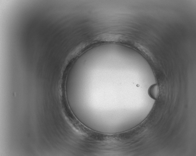 X0000069380682200605262051