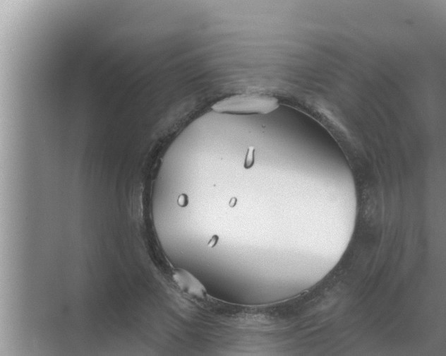 X0000069380685200605262051