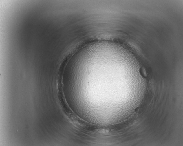 X0000069380687200605262051