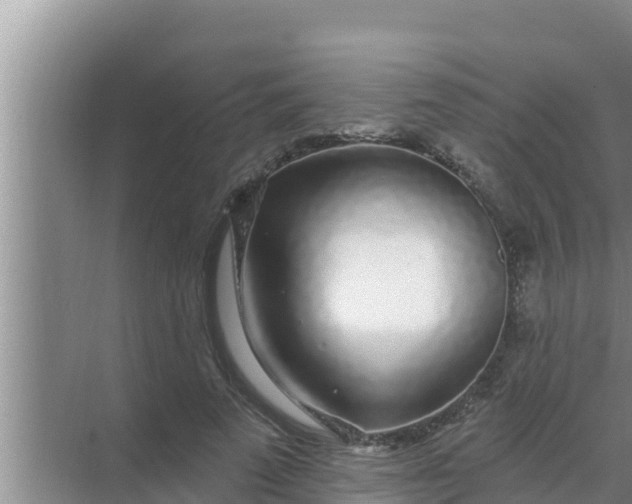 X0000069380689200605262051