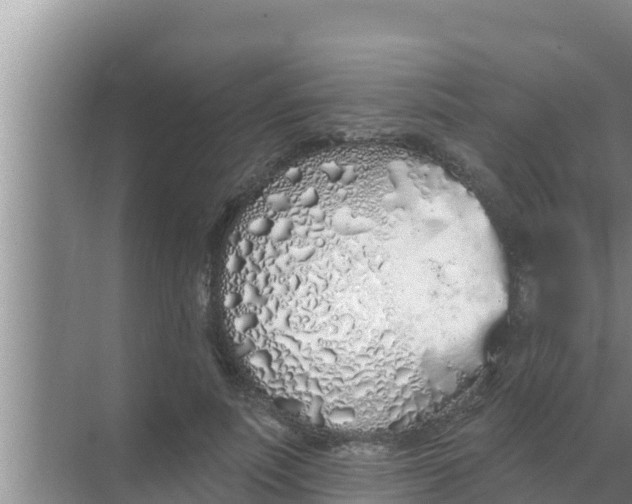 X0000069380691200605262051