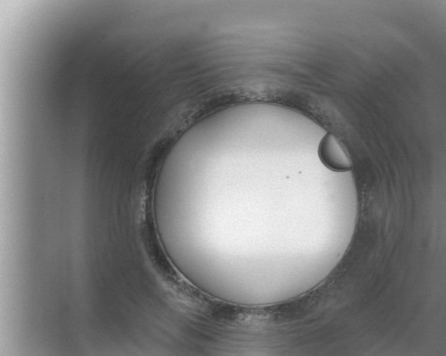 X0000069380694200605262051