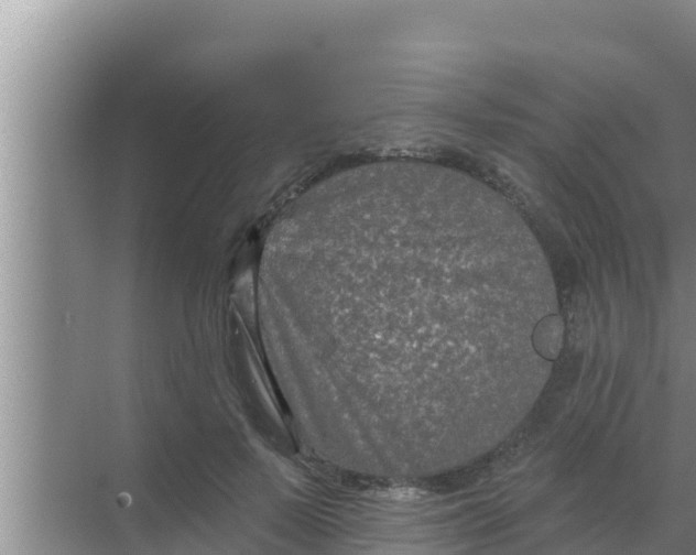 X0000069380695200605262051