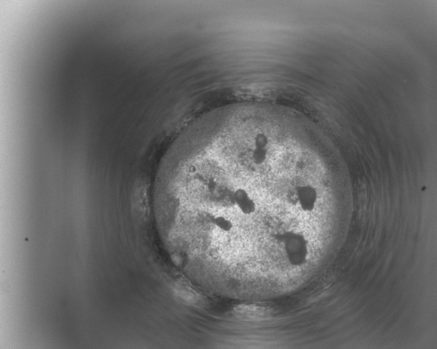 X0000069380699200605262051