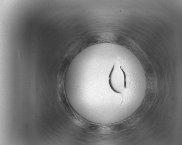 X0000069380701200605262051