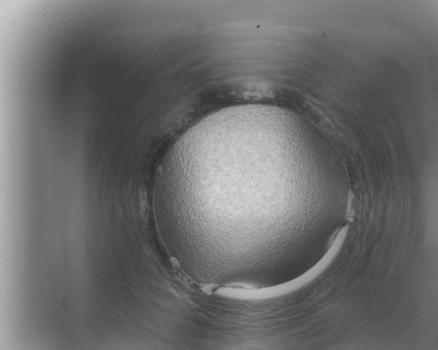 X0000069380704200605262051