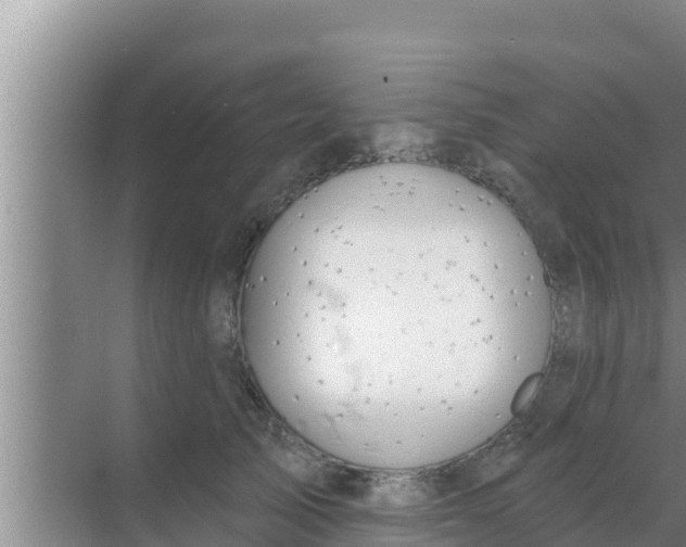 X0000069380705200605262051