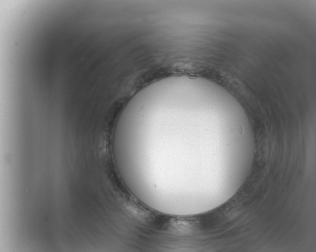 X0000069380706200605262050