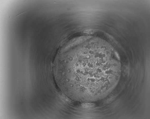 X0000069380707200605262050