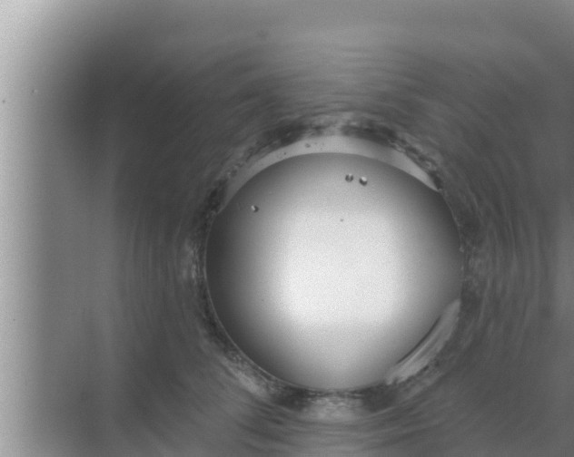 X0000069380708200605262050