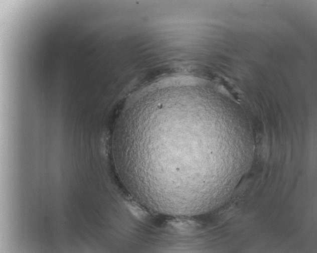 X0000069380712200605262050