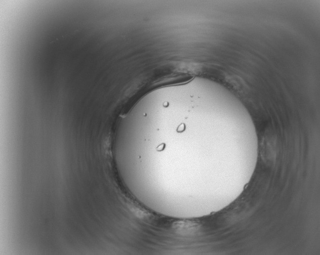 X0000069380714200605262050