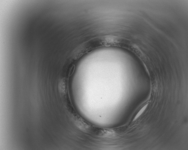 X0000069380715200605262050