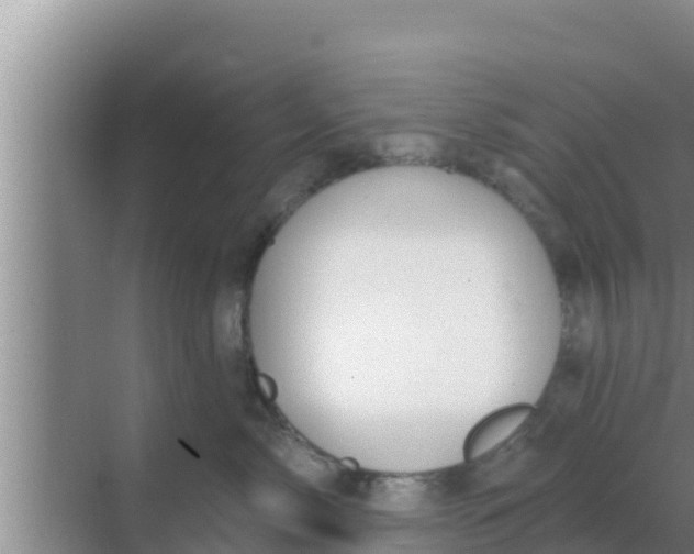 X0000069380717200605262050