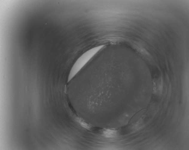 X0000069380718200605262050