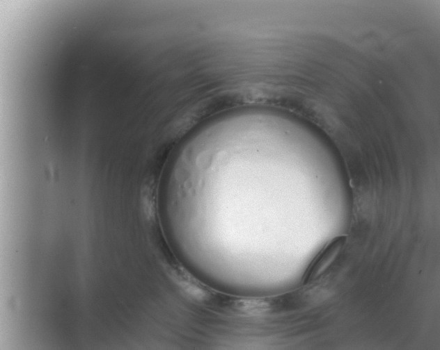 X0000069380719200605262050