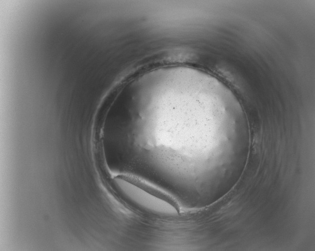 X0000069380722200605262049