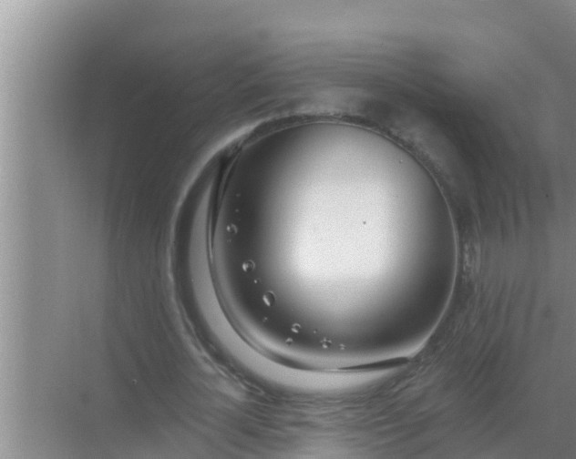 X0000069380724200605262050