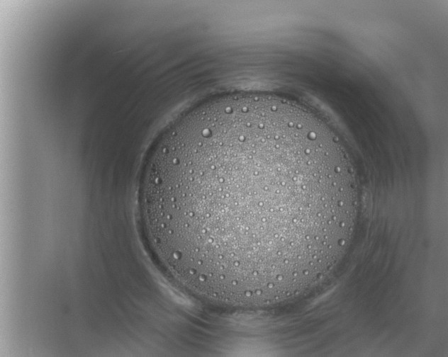 X0000069380725200605262050