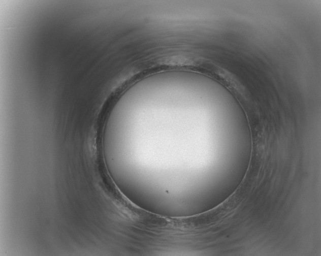 X0000069380727200605262050