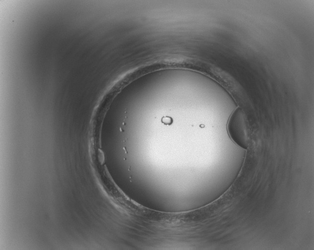 X0000069380728200605262050