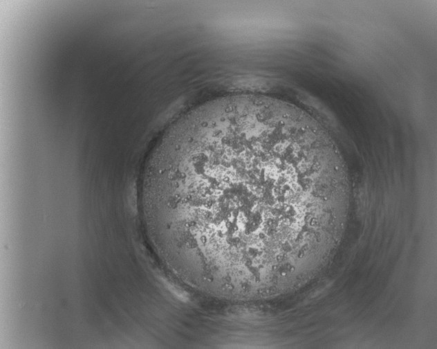 X0000069380729200605262050