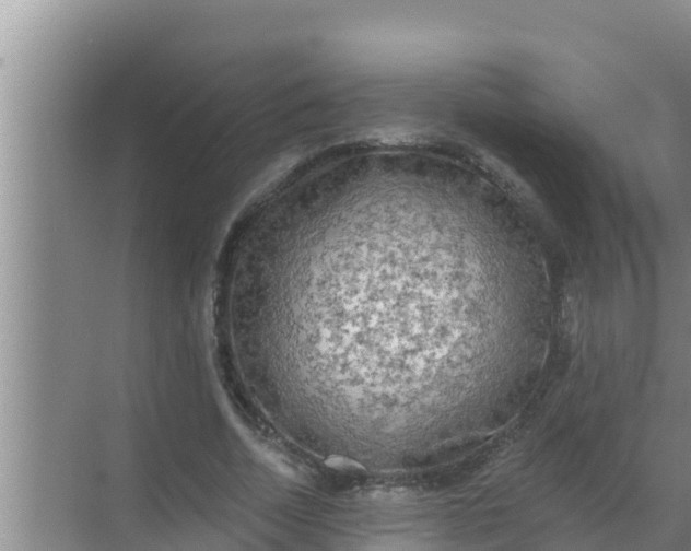 X0000069380730200605262050