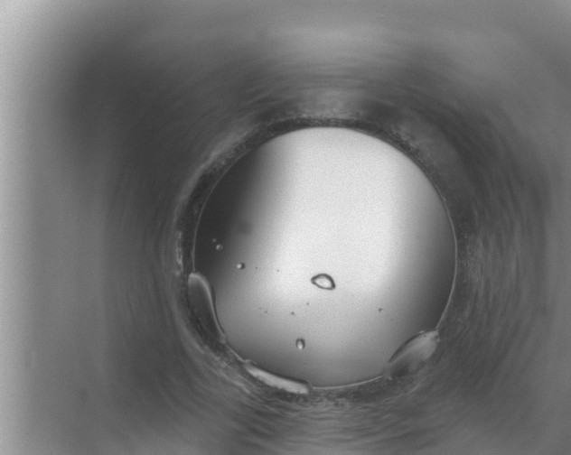 X0000069380731200605262050