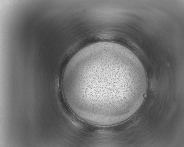 X0000069380733200605262050