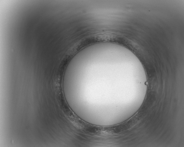 X0000069380737200605262050