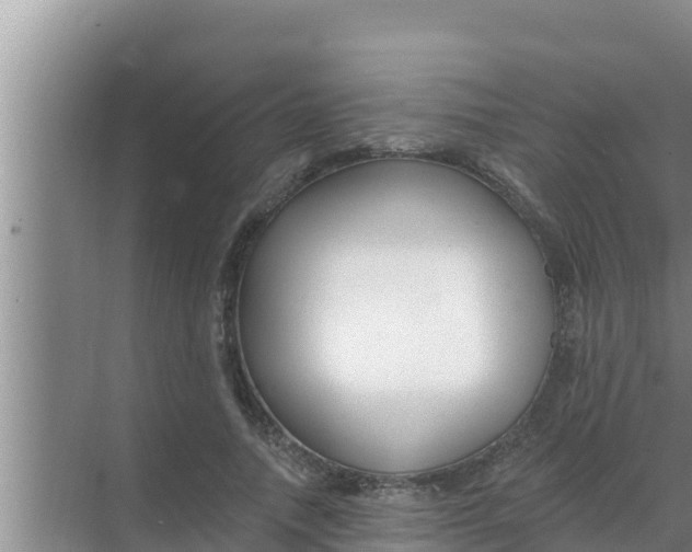 X0000069380738200605262050