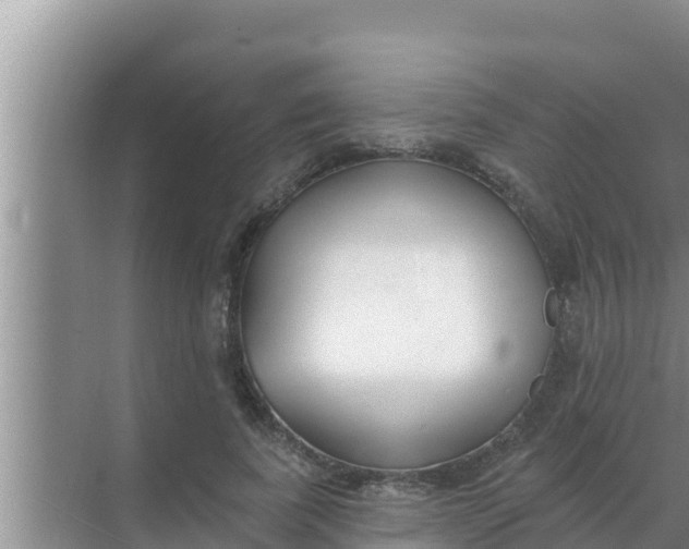 X0000069380739200605262050