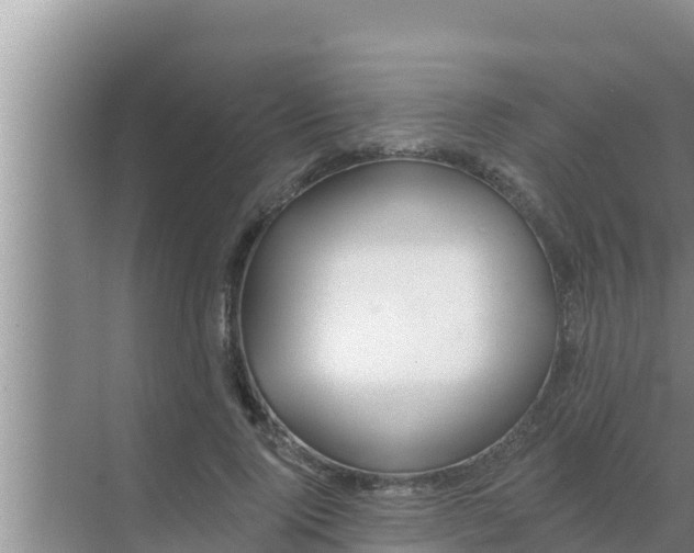 X0000069380740200605262050